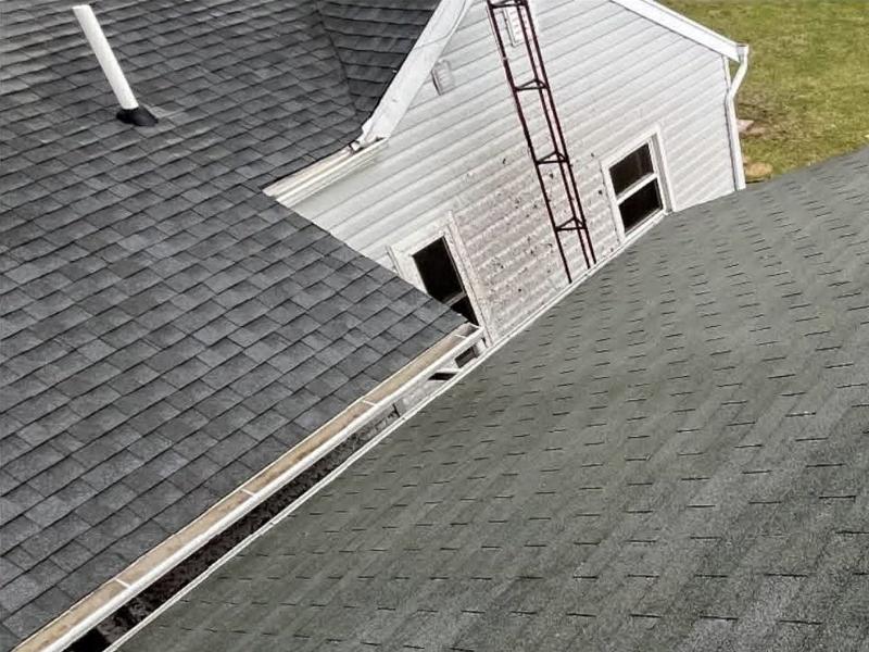 Roof Soft Washing